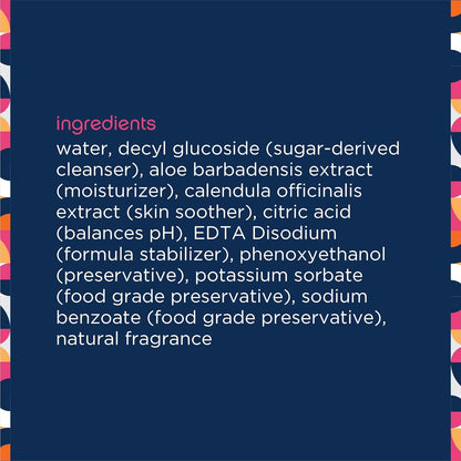 PL360 Dog Grooming Wipes for Cleansing & Deodorizing | Pet Wipes for Dogs, Cats, Puppies & Kittens | Mandarin Scent | Eco Friendly, Natural and Safe Ingredients